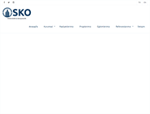 Tablet Screenshot of oskoyapi.com